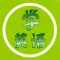 学英语-学习英语基础初级英语