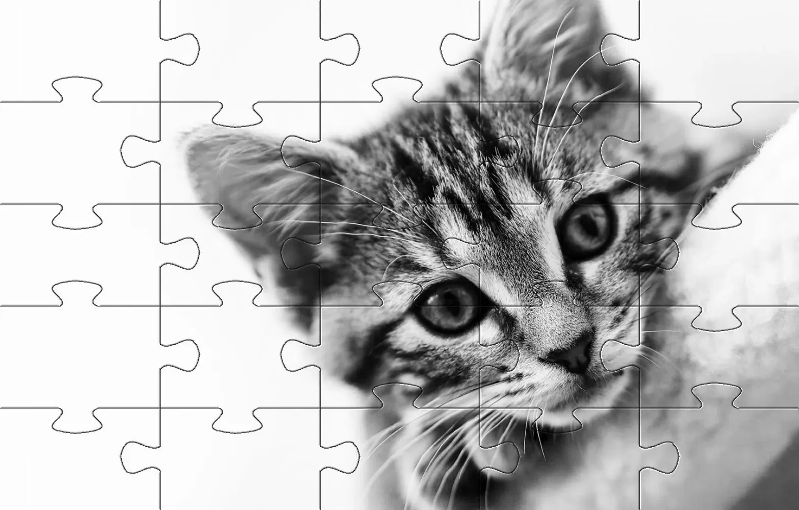 Capturas de tela do Cats jigsaw puzzles kittens
