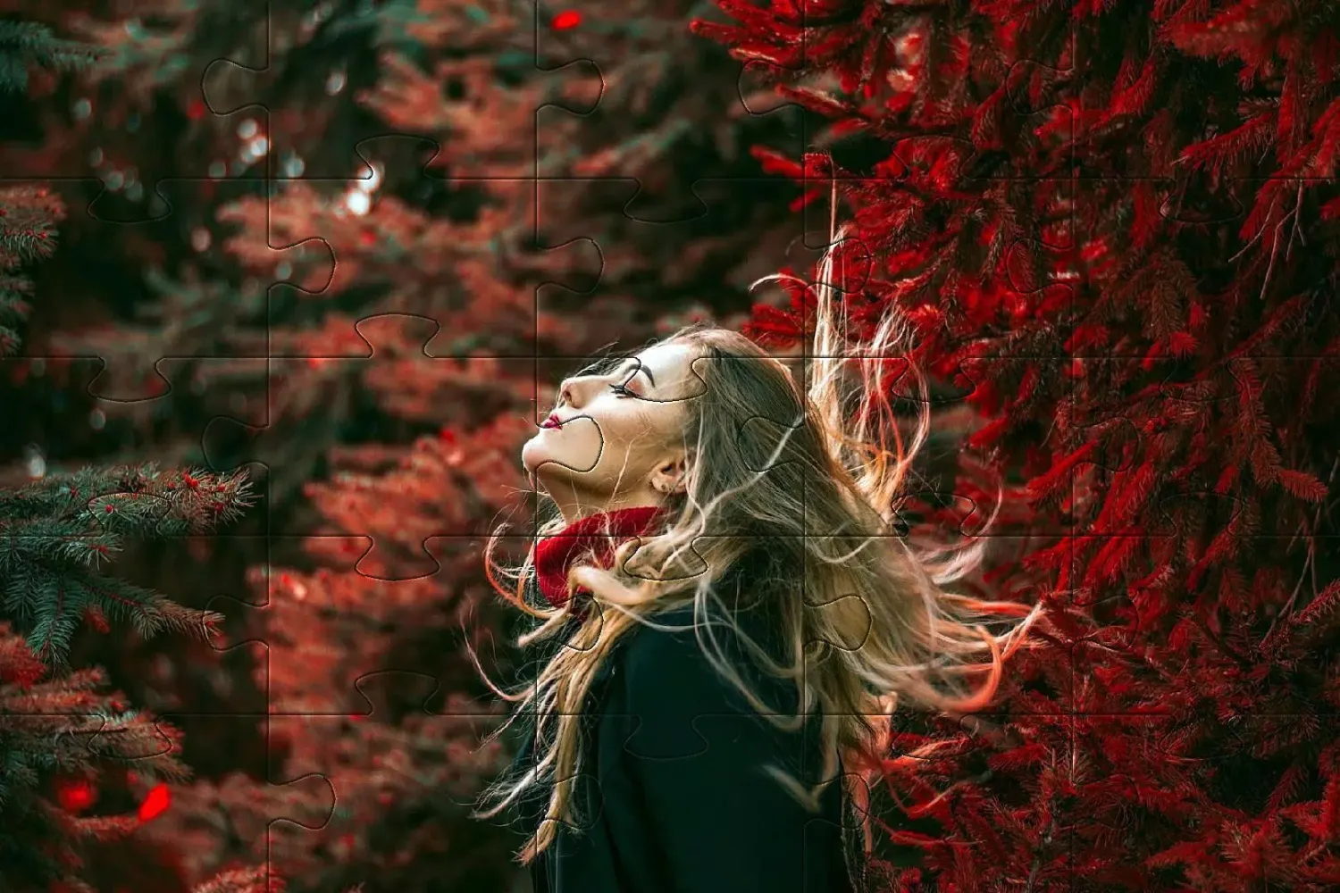 Women Jigsaw Puzzles Screenshots