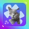 Сats & kittens jigsaw puzzles