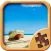 Beach Jigsaw Puzzles - Fun Brain Games