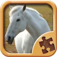 Horse Puzzle Games - Amazing Logic Puzzles