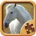 Horse Puzzle Games - Amazing Logic Puzzles