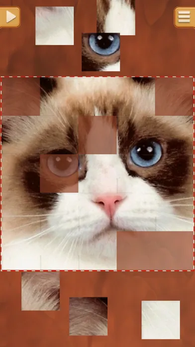 Cute Kitty Jigsaw Puzzle Games - Kitten Puzzles应用截图