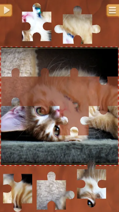 Cute Kitty Jigsaw Puzzle Games - Kitten Puzzles应用截图