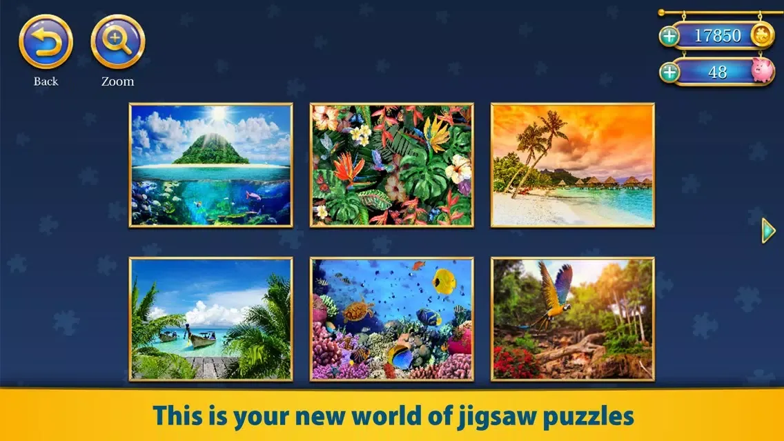 Capturas de tela do Jigsaw Puzzles Craft