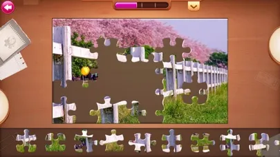 Jigsaw Puzzle Quest Mania Ekran Görüntüleri