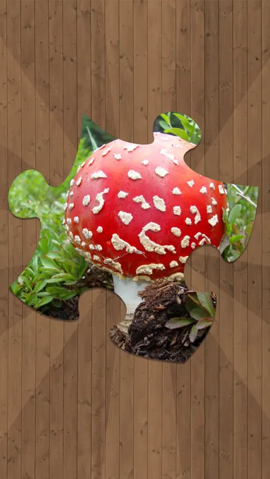 Jigsaw Puzzles - Logical Game for Kids and Adults स्क्रीनशॉट