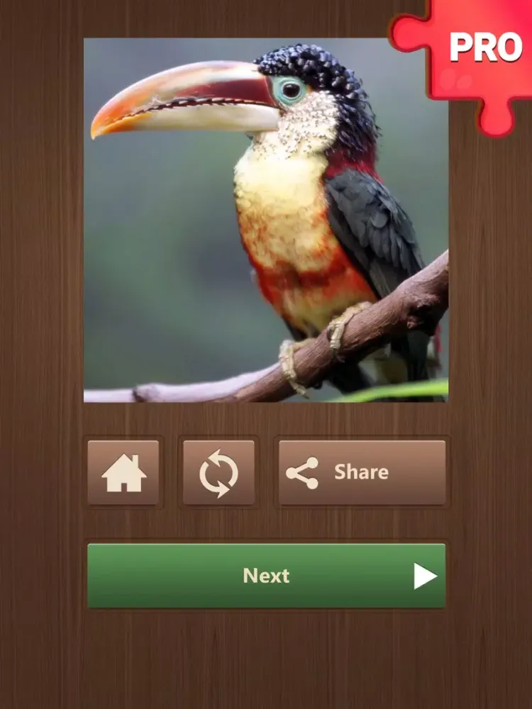 Jigsaw Puzzle Games PRO: Brain Training Jigsaws iPad  स्क्रीनशॉट