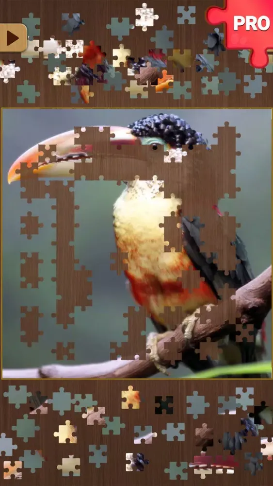 Jigsaw Puzzle Games PRO: Brain Training Jigsaws स्क्रीनशॉट