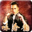 咏春拳-入门到高手,武术名家详细视频教学 咏春拳-入门到高手,武术名家详细视频教学
