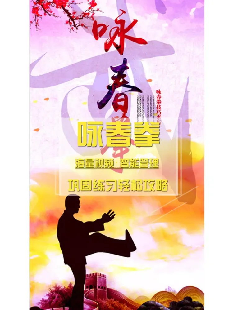 咏春拳-入门到高手，武术名家详细视频教学 iPad  Ekran Görüntüleri