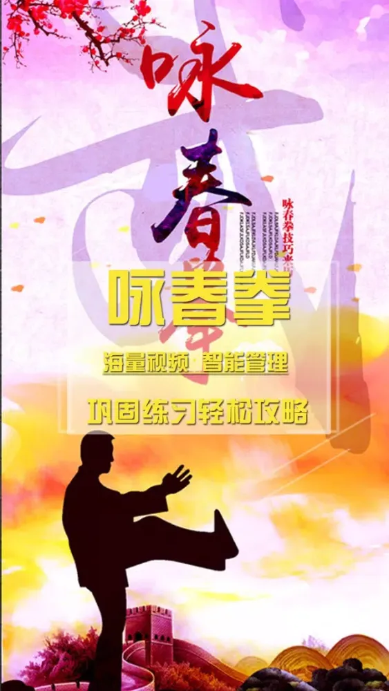 咏春拳-入门到高手，武术名家详细视频教学 Ekran Görüntüleri