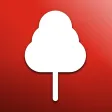 Forest News - Fan App