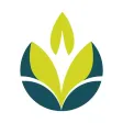 和相伴