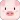 小猪视频制作