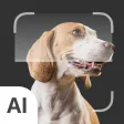 Dog Identifier: AI Scanner Dog Identifier: AI Scanner