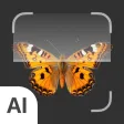 Insect Identify: AI Scanner Insect Identify: AI Scanner