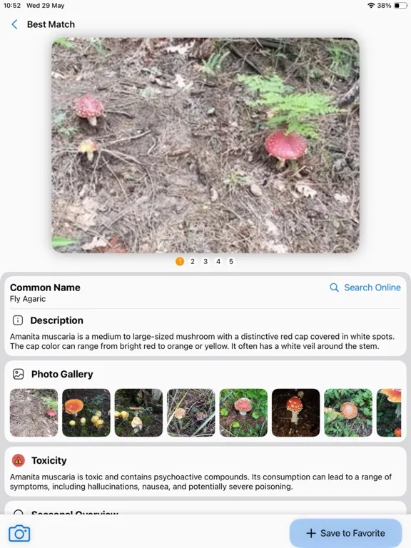 Tangkapan layar Mushroom Identifier:AI Scanner iPad 