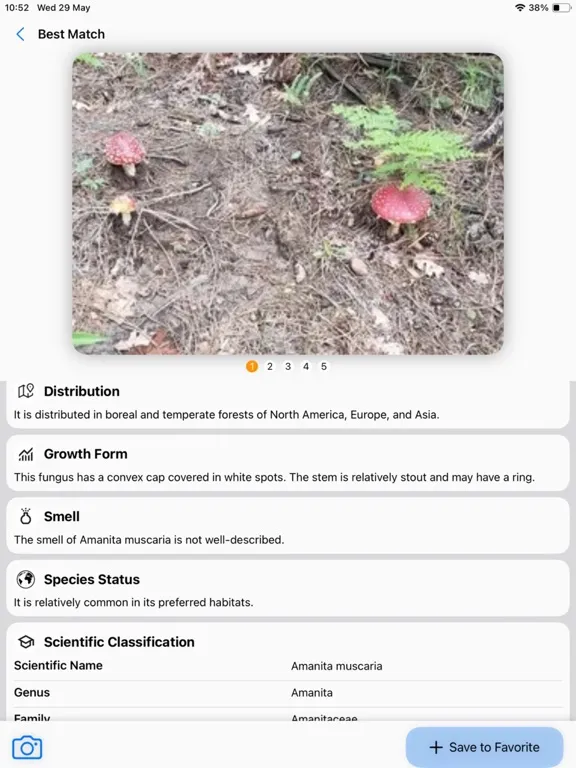 Tangkapan layar Mushroom Identifier:AI Scanner iPad 