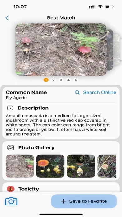 Tangkapan layar Mushroom Identifier:AI Scanner