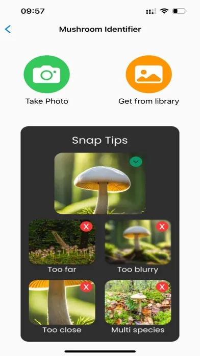 Tangkapan layar Mushroom Identifier:AI Scanner