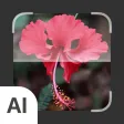 Plant Identifier: AI Scanner Plant Identifier: AI Scanner