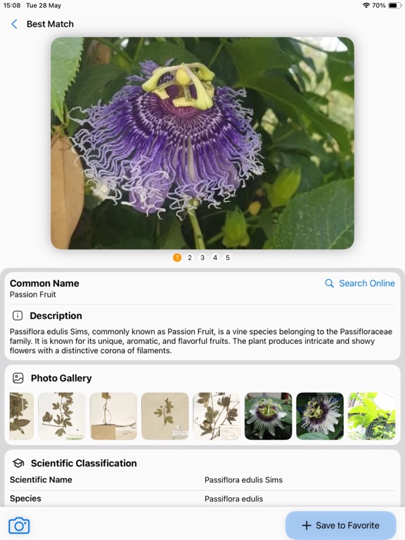 صور Plant Identifier: AI Scanner iPad 