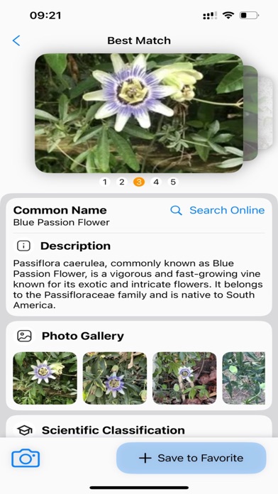 صور Plant Identifier: AI Scanner