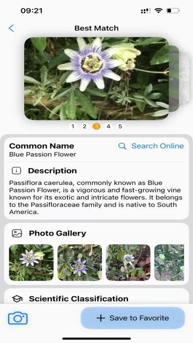 Tangkapan layar Plant Identifier: AI Scanner