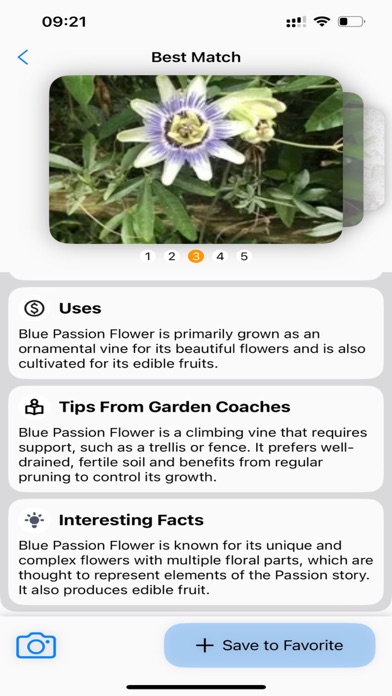 صور Plant Identifier: AI Scanner