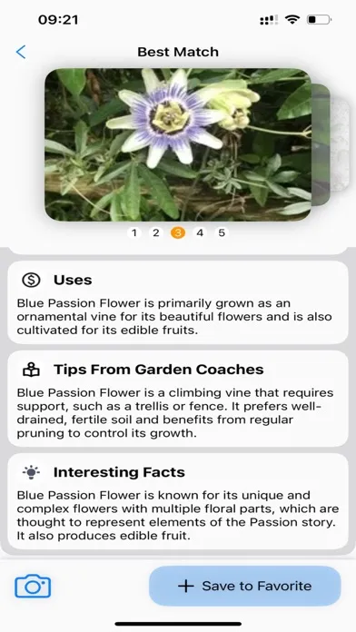 Tangkapan layar Plant Identifier: AI Scanner