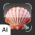Shell Identifier: AI Scanner