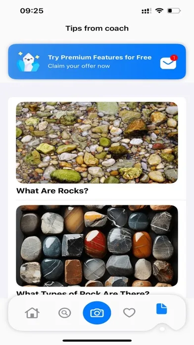 Tangkapan layar Stone Identifier: AI Scanner