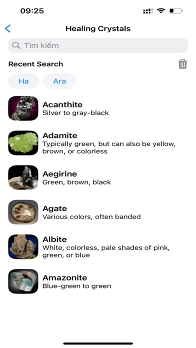 Tangkapan layar Stone Identifier: AI Scanner