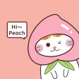 Peach Diary - journal Peach Diary - journal