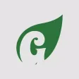 Green Leaf Zoo
