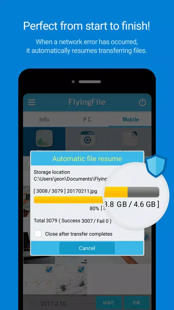 Captures d'écran de FlyingFile