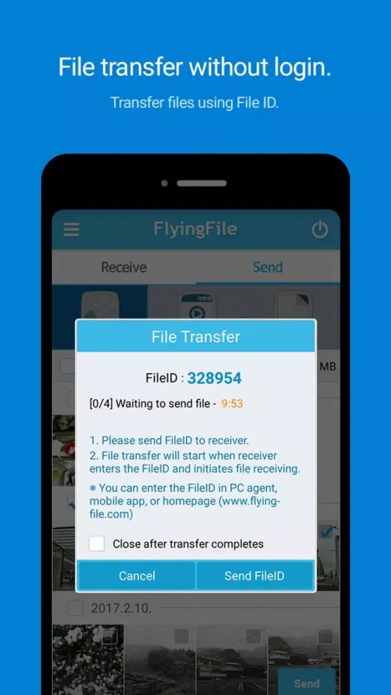 Captures d'écran de FlyingFile