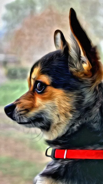Portrait Painter Screenshots