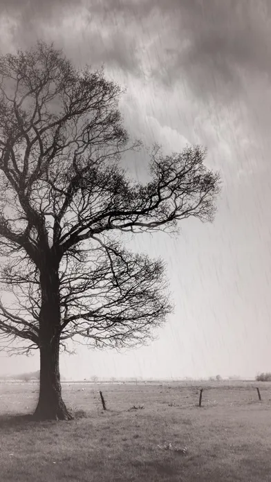 Tangkapan skrin Rainy Daze