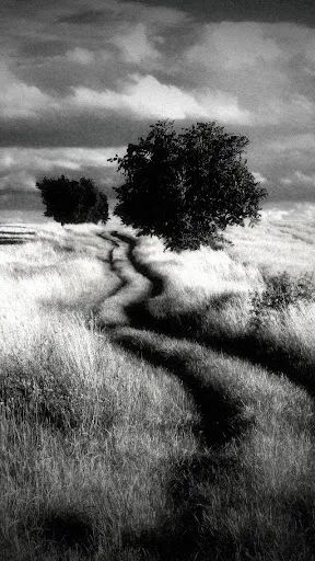 Capturas de tela do Dramatic Black & White