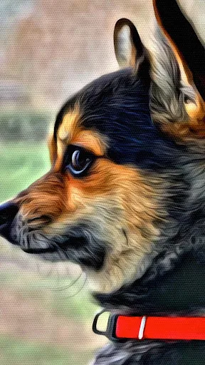 Portrait Painter Screenshots