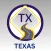 Texas DMV Practice Test - TX