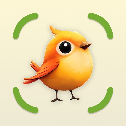 Bird Identifier: BirdCam AI