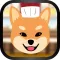 Sushi Doggy