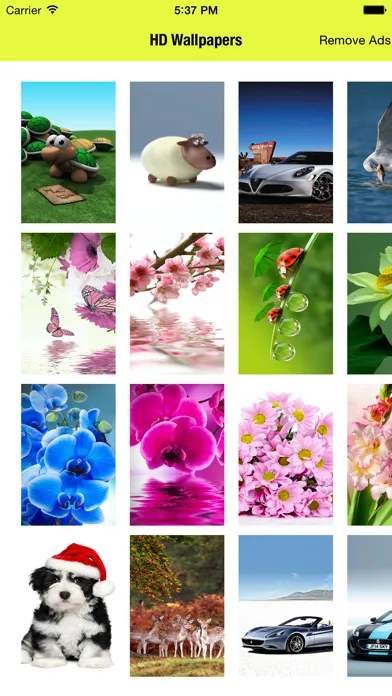 ภาพหน้าจอของ Lovely HD Wallpapers