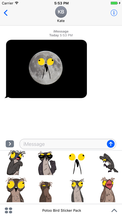 Potoo Bird Sticker Pack 스크린샷