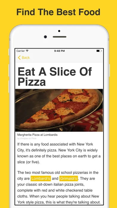 Obvious NYC ~ Travel Guide应用截图