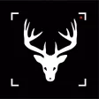 Remote Trail CAM Remote Trail CAM